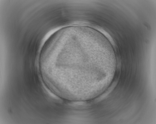 X0000113641486200910162026