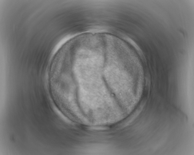 X0000113641487200910162026