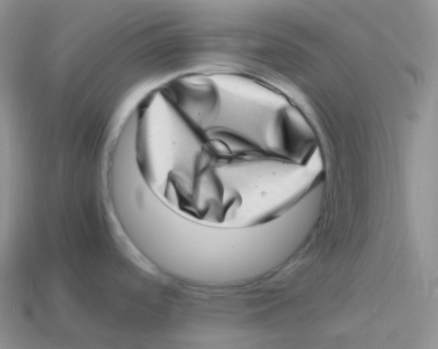 X0000113641488200910162026