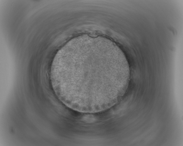 X0000113641489200910162026