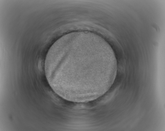 X0000113641490200910162026