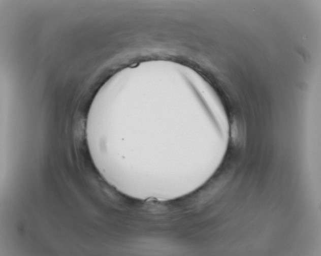 X0000113641492200910162026