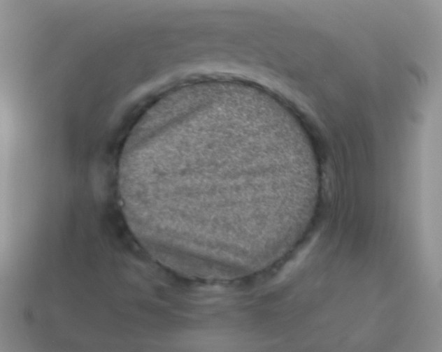 X0000113641494200910162026