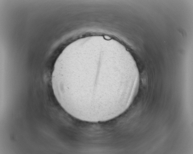 X0000113641495200910162026