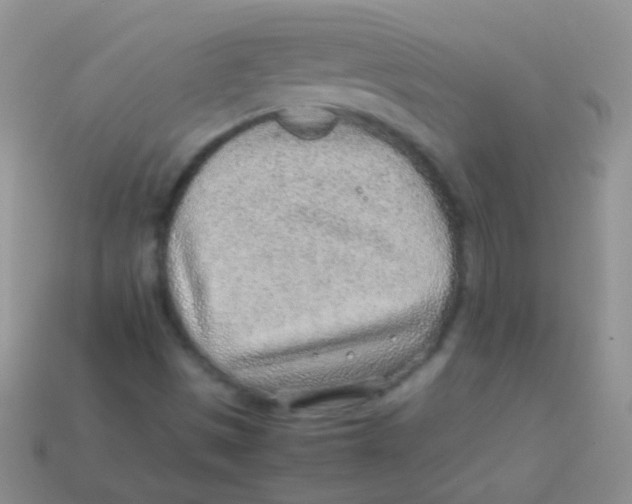 X0000113641497200910162026