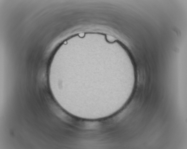 X0000113641498200910162026