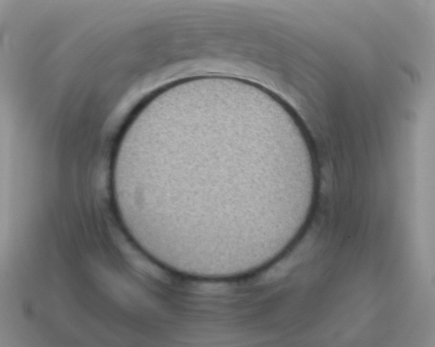 X0000113641499200910162026