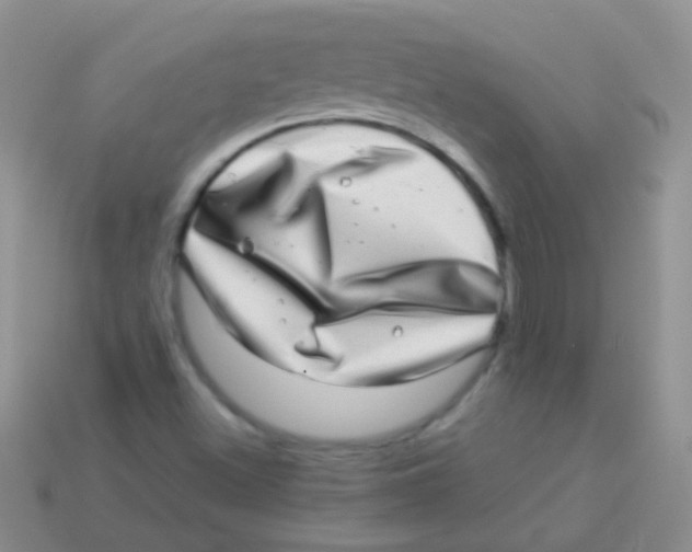 X0000113641500200910162026