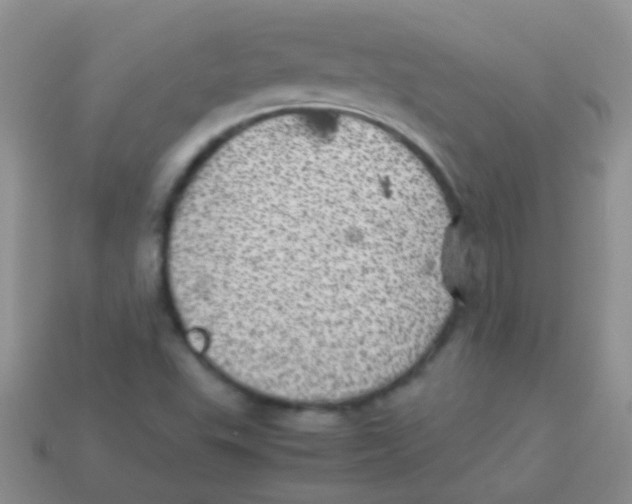 X0000113641503200910162026