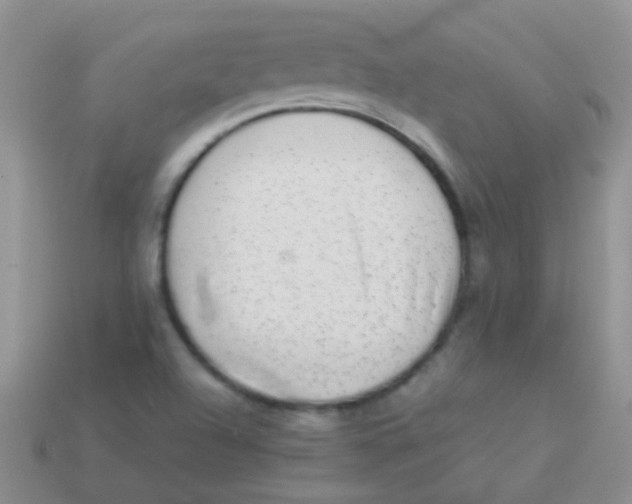 X0000113641504200910162026