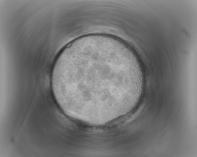 X0000113641505200910162026