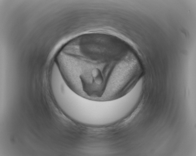 X0000113641506200910162026