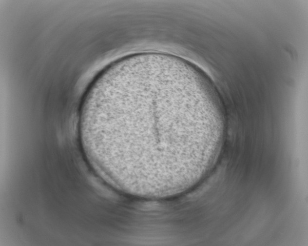 X0000113641507200910162026