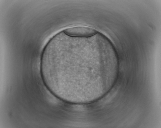 X0000113641508200910162026