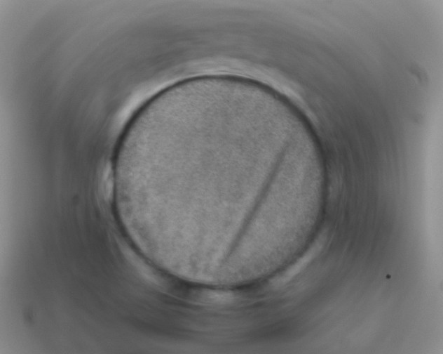 X0000113641509200910162026