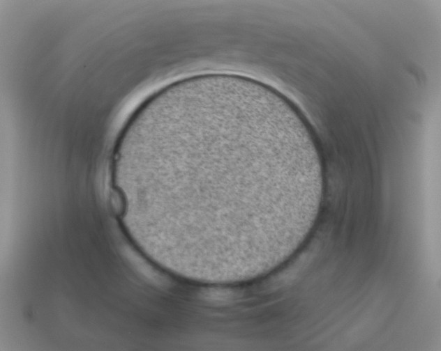 X0000113641511200910162026