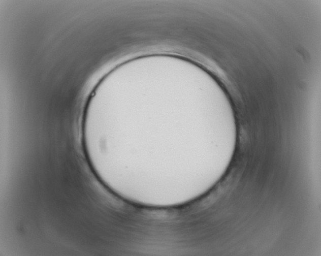 X0000113641512200910162026