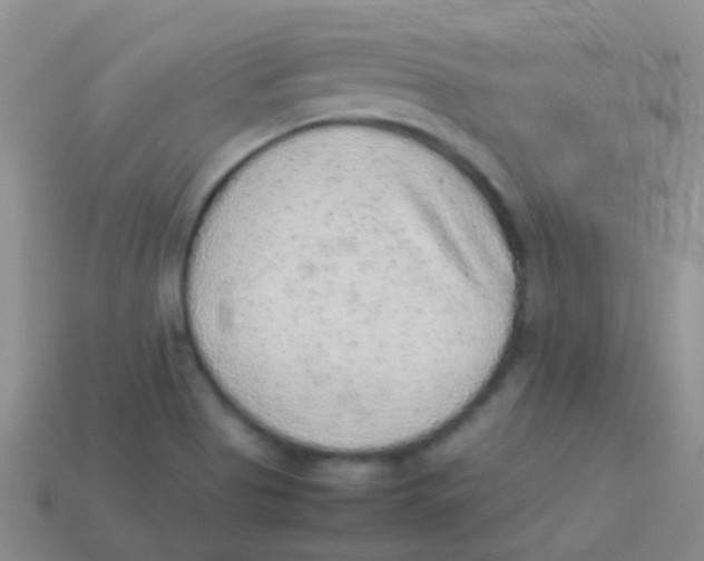 X0000113641513200910162026