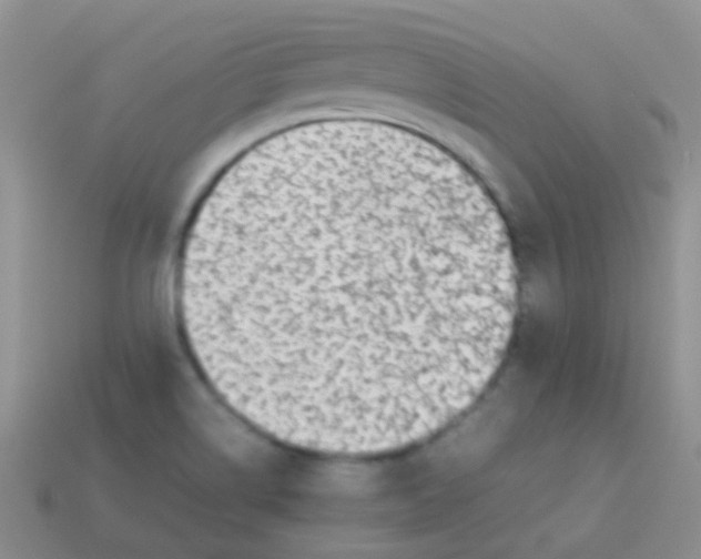 X0000113641514200910162026