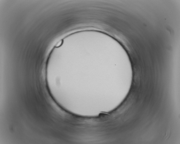 X0000113641516200910162026