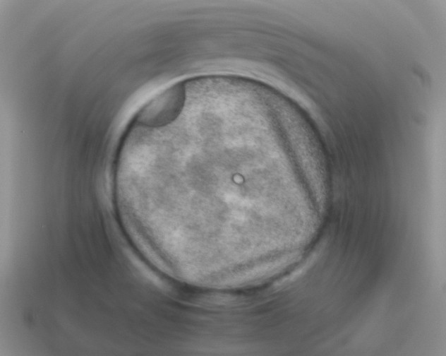 X0000113641517200910162026