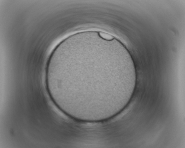 X0000113641518200910162026