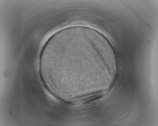 X0000113641519200910162026