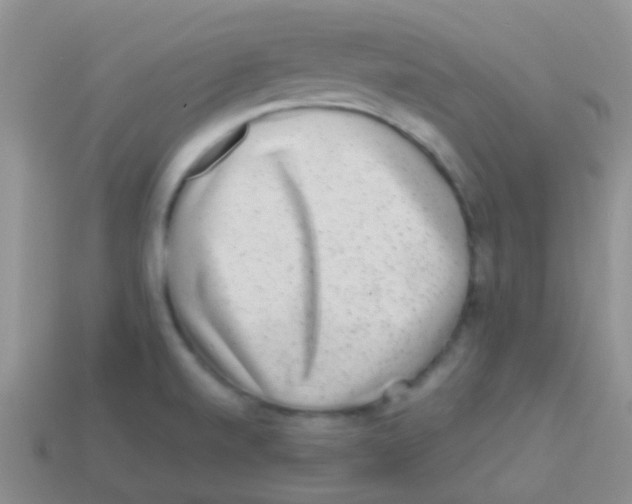 X0000113641520200910162026