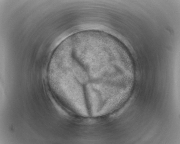 X0000113641521200910162026