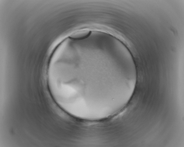 X0000113641522200910162026