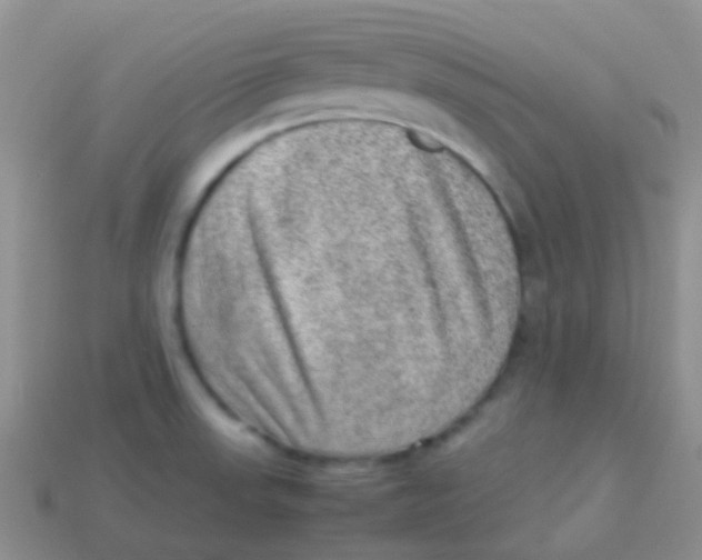 X0000113641523200910162026