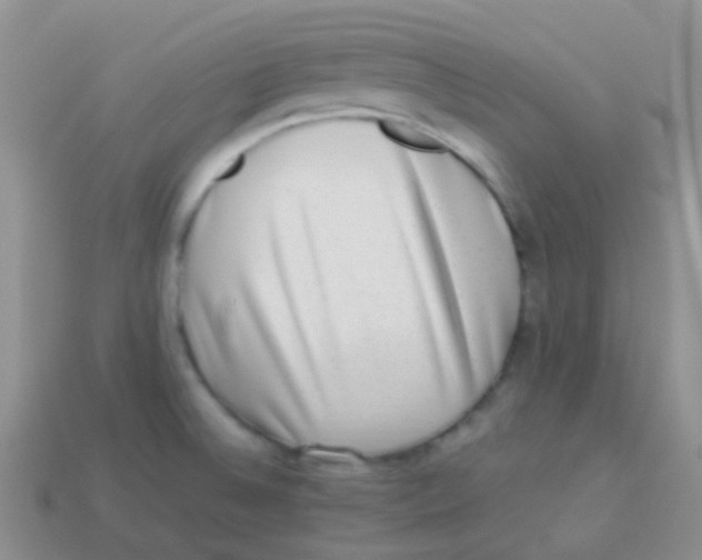 X0000113641524200910162026