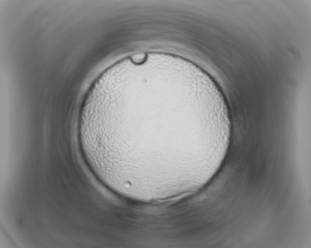 X0000113641525200910162026