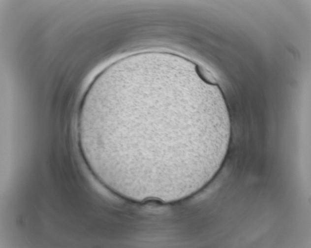 X0000113641526200910162026