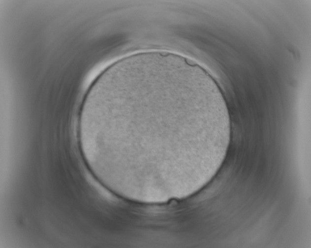 X0000113641527200910162026