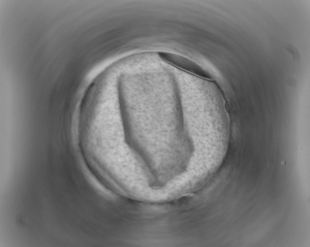 X0000113641528200910162026