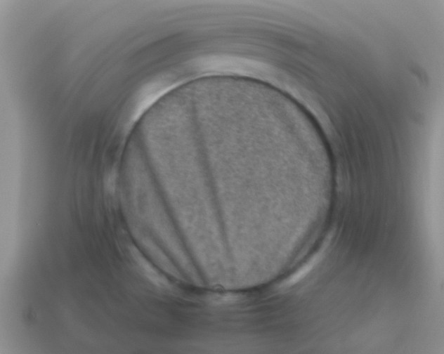 X0000113641529200910162026