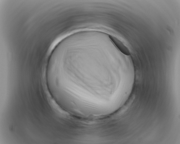 X0000113641530200910162026