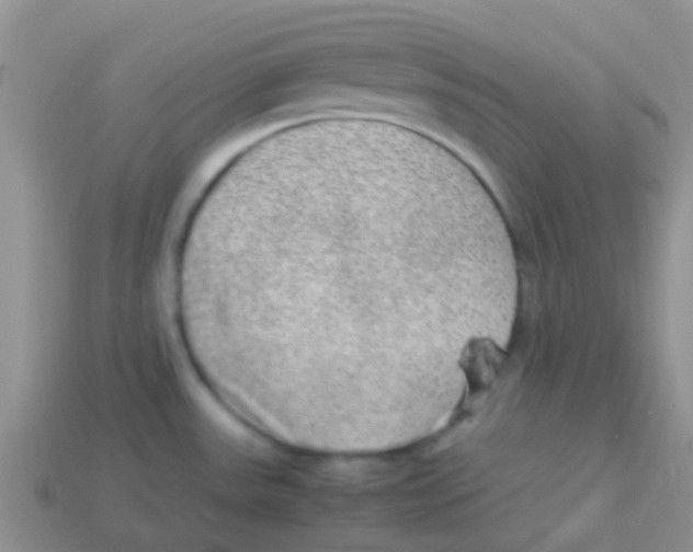 X0000113641531200910162026