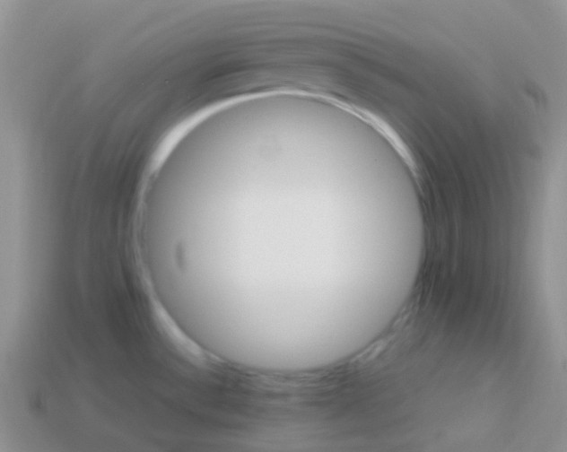 X0000113641532200910162026