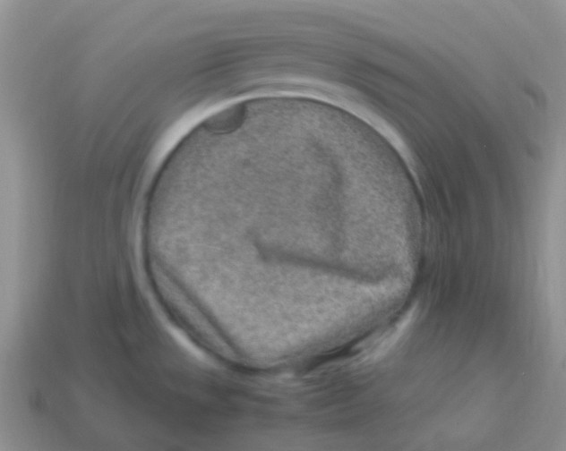 X0000113641533200910162026