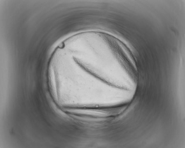 X0000113641534200910162026