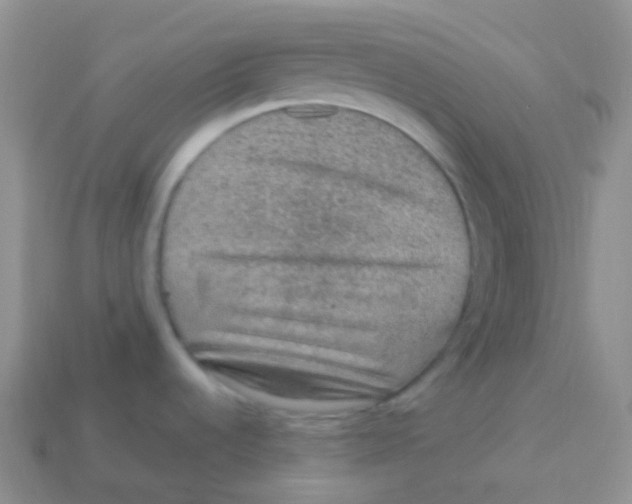 X0000113641536200910162026