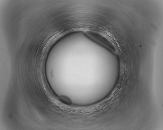 X0000113740001200909230955