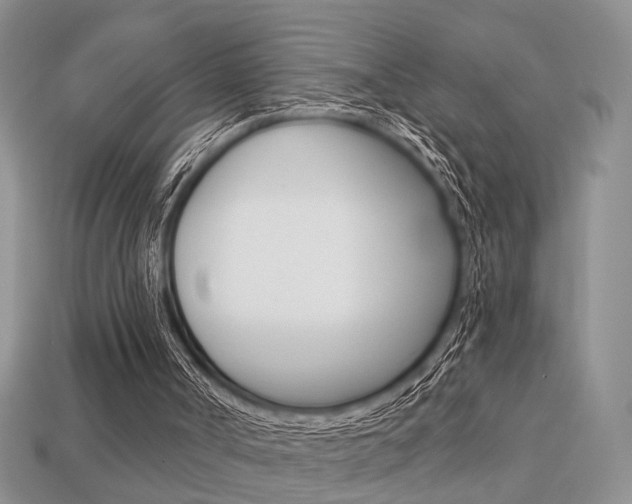 X0000113740002200909230955