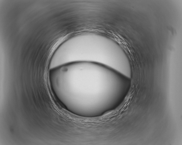 X0000113740003200909230955