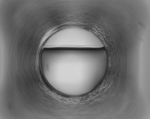X0000113740004200909230955