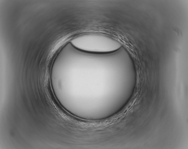 X0000113740005200909230955