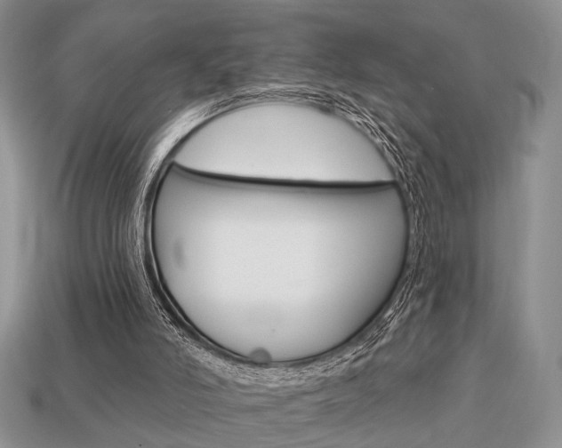 X0000113740006200909230955