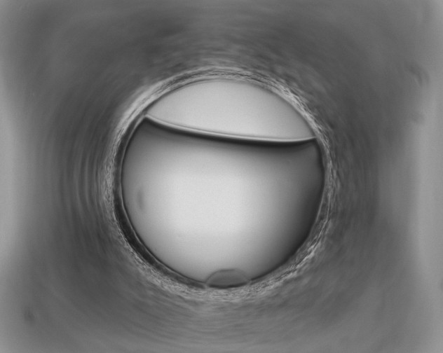 X0000113740007200909230955